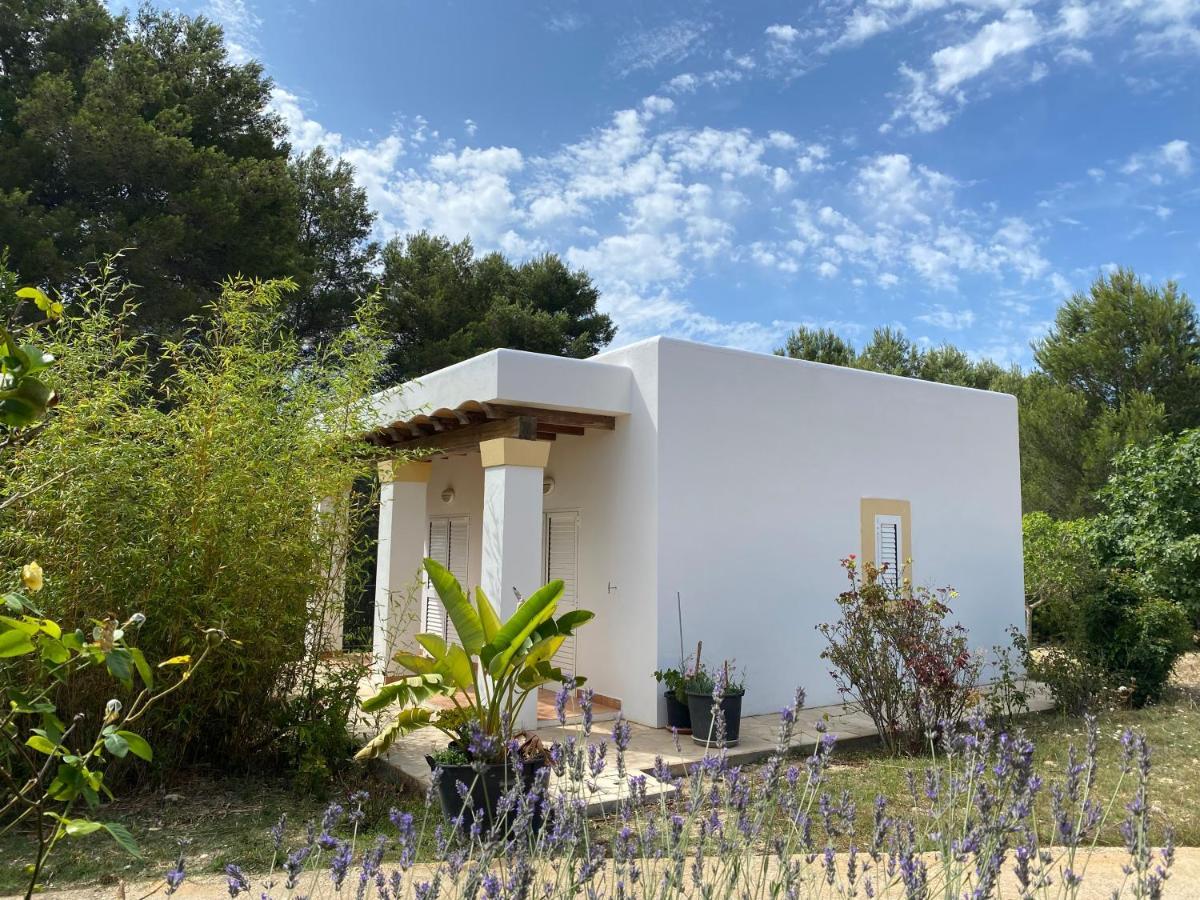 Villa Can Toni Miqueli Santa Gertrudis  Luaran gambar